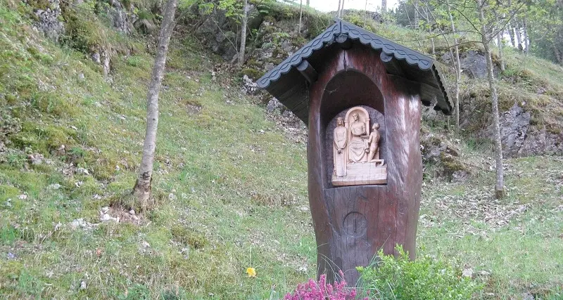 Hanno rubato le piante dalle stazioni della Via Crucis