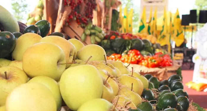 Agricoltura, ok dai paesi Ue al nuovo regolamento bio