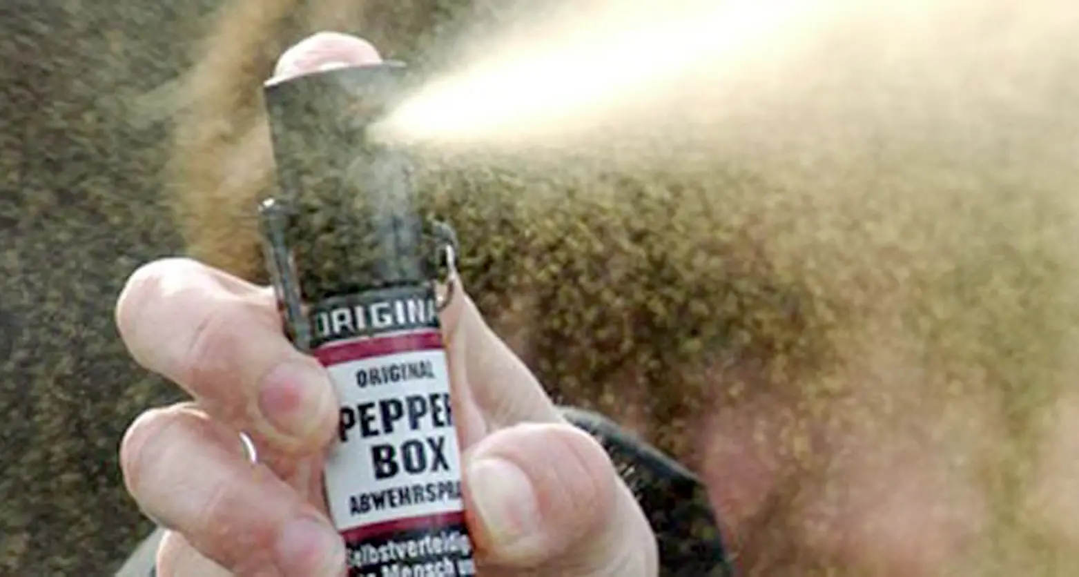 Aggressione con lo spray Il «buttafuori» a processo