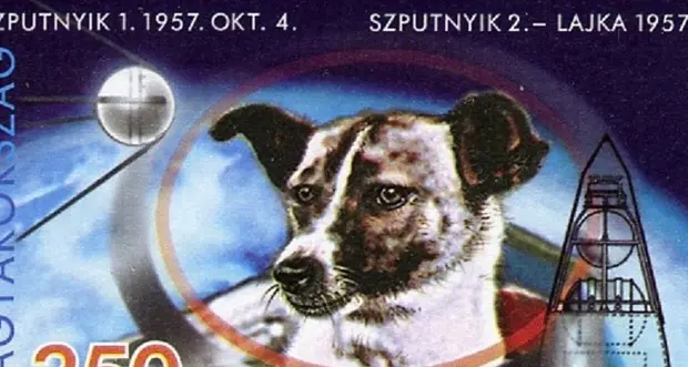 60 anni fa il volo di Laika Primo essere vivente nello spazio