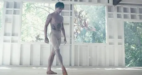 Polunin in Italia a cinema e teatro