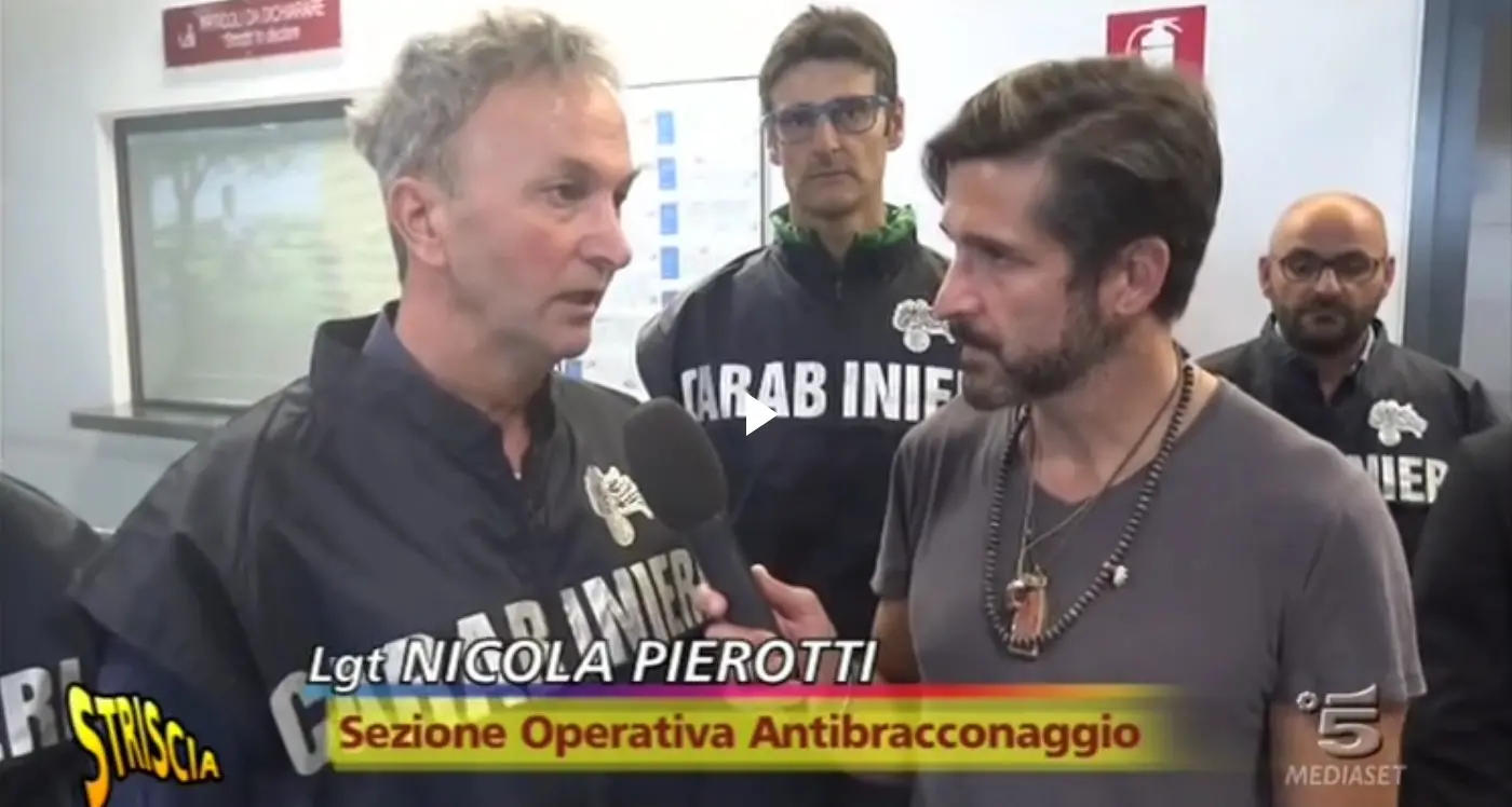Denunciati i «turisti del bracconaggio» Migliaia di volatili in valigia. Cacciatori fermati Operazione dei carabinieri con Nicola Pierotti