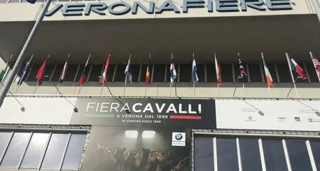 Verona capitale equitazione