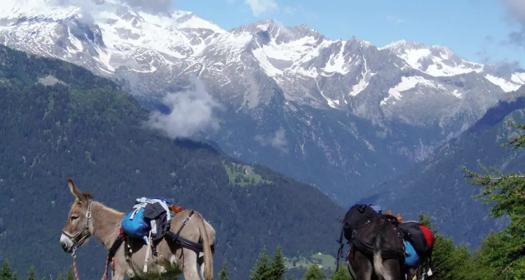 Parco Adamello Brenta La lettera del presidente