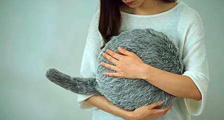 Ecco il surrogato del gatto È un robot Made in Japan