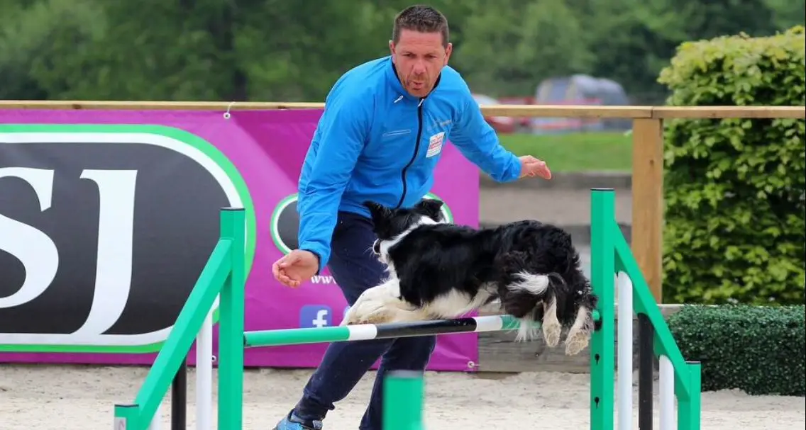 Agility dog, Paolo Ciaghi è l'allenatore dell'Italia
