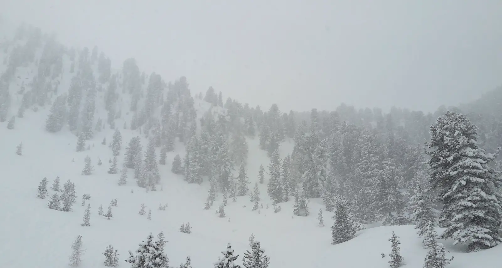 Si perde a causa della nebbia 28enne salvato dalla polizia