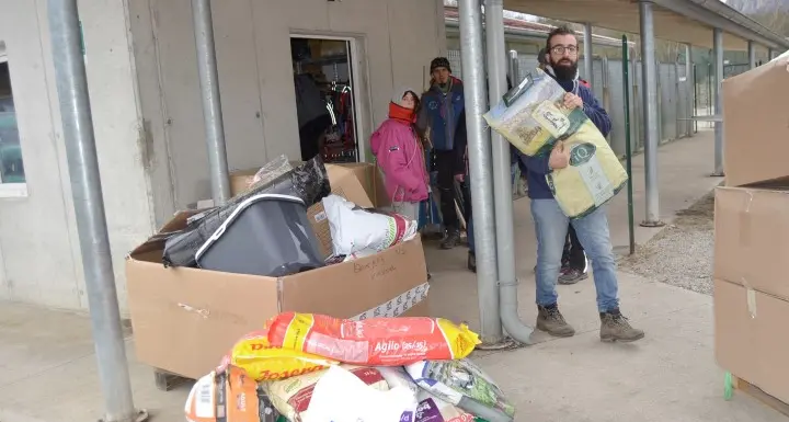 Due aziende regalano al canile 20 bancali di cibo e accessori