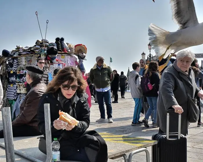 Una turista sudamericana che stava addentando un panino, seduta sulle passerelle per l'acqua in piazza San Marco, è stata 'attaccata' senza poter reagire da un gabbiano reale: col becco il grosso pennuto ha spezzato a metà lo snack, ancora nelle mani della donna, e senza neanche sfiorarla è poi fuggito con il bottino. Venezia, 30 marzo 2018. ANSA/ PER GENTILE CONCESSIONE DI MAURIZIO TORRESAN