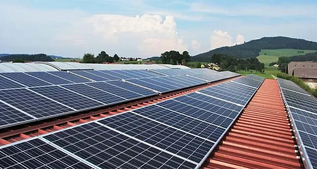 Truffa allo Stato sulle energie rinnovabili: blitz della Finanza e dei Forestali, arresti anche in regione