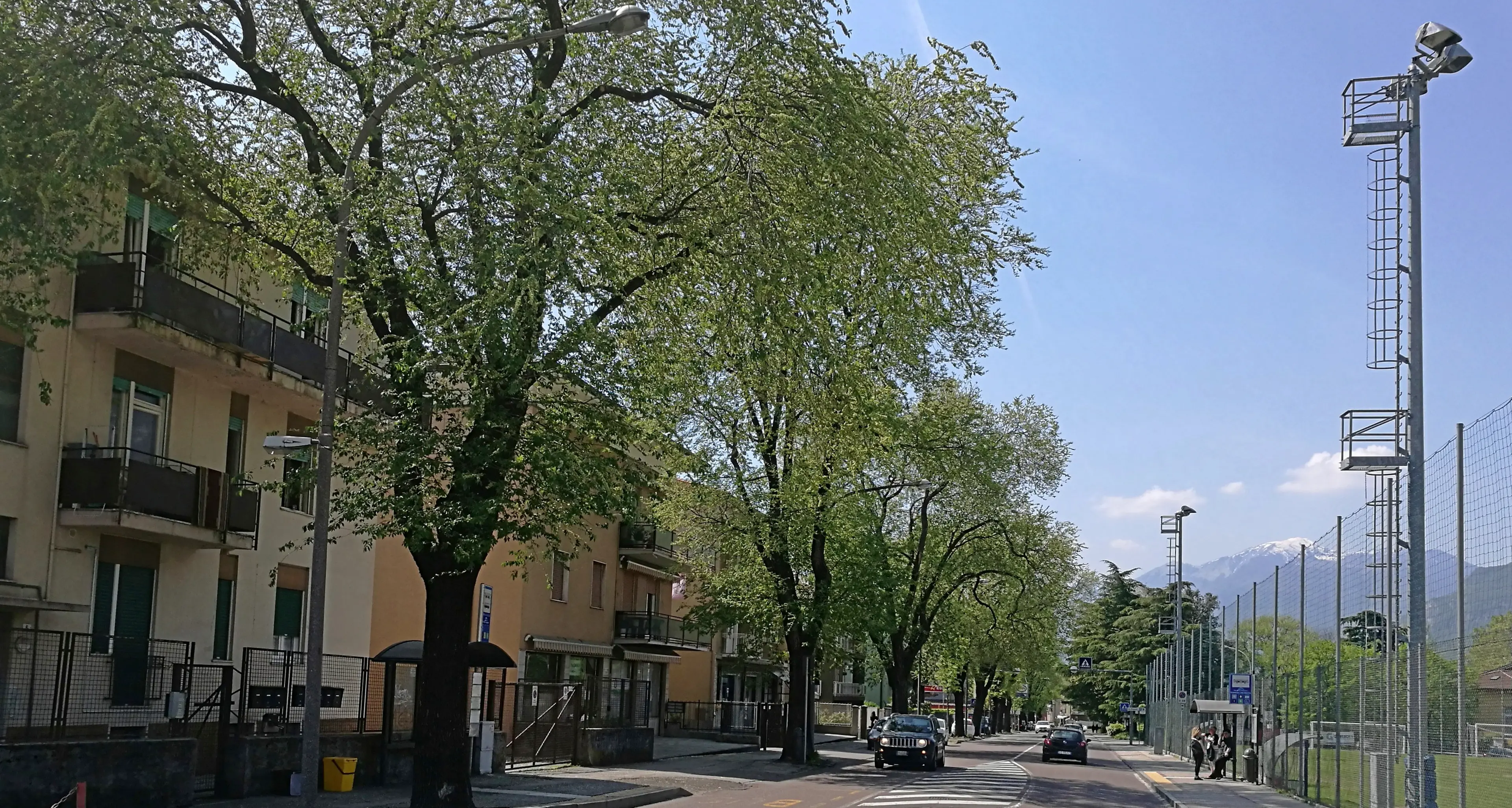 Esposto Enpa contro il Comune per gli alberi tagliati con i nidi