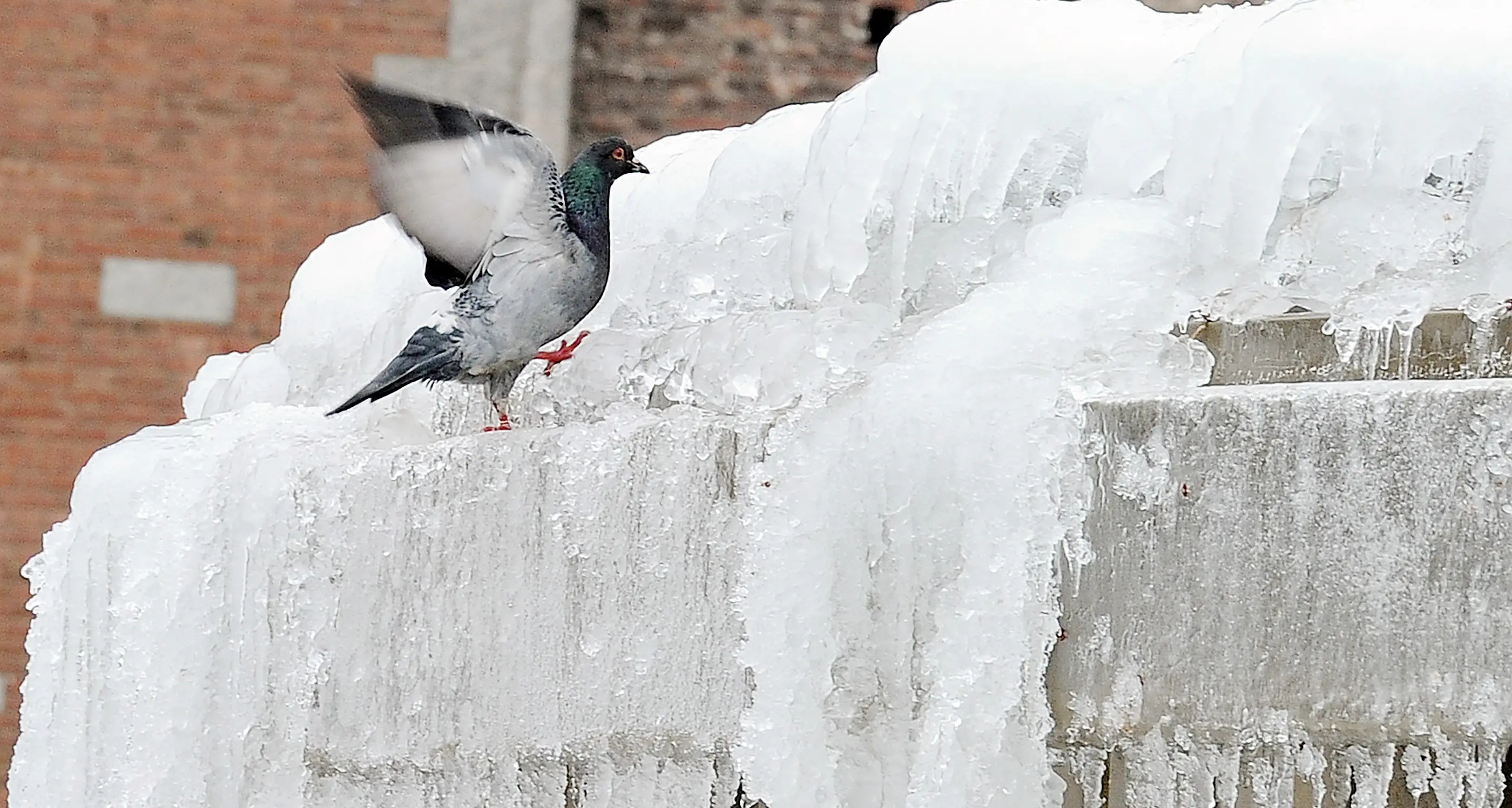 Continua il freddo sul Trentino, e le temperature si abbasseranno ancora