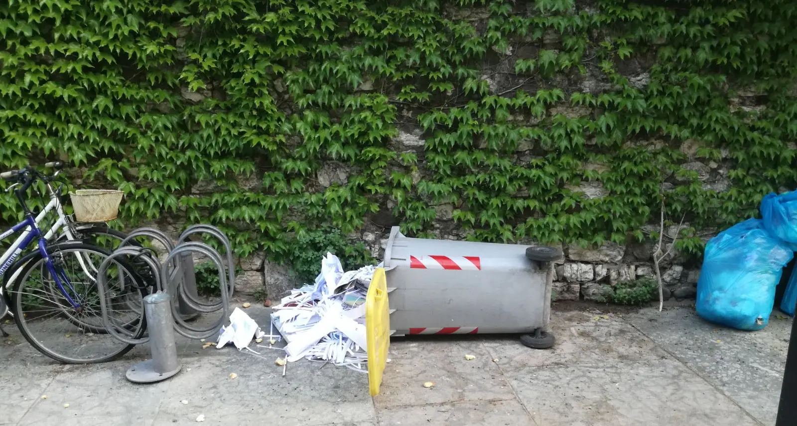 Bidoni rovesciati, specchietti rotti, fioriere devastate Le notti brave dei giovani in pieno centro La rabbia dei residenti: «E spesso sono studenti»