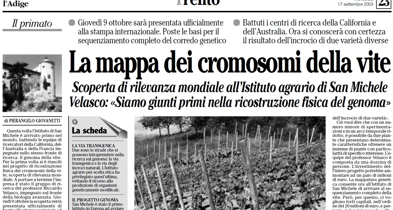 Dalla vite, al Cibio fino al Muse. Quindici anni di genoma «trentino»