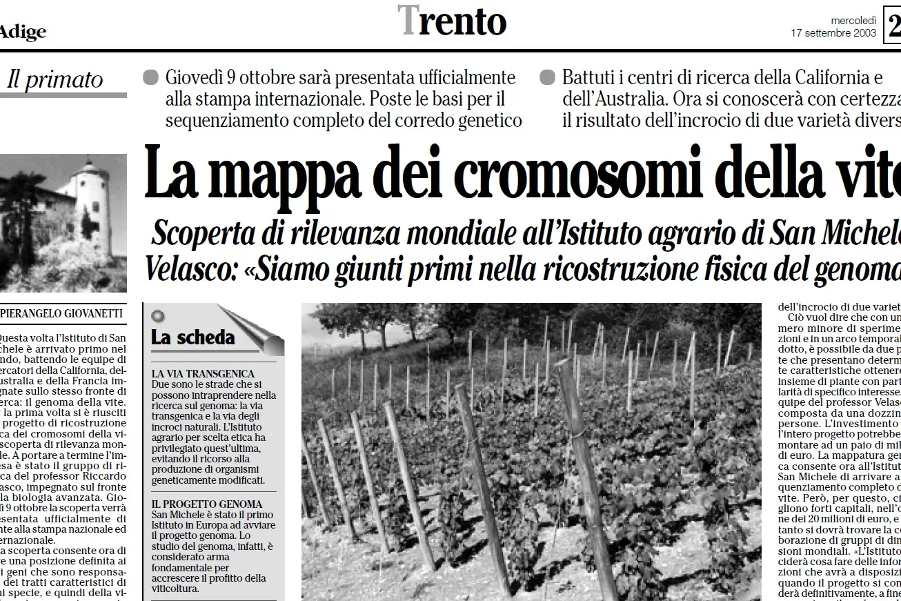 Dalla vite, al Cibio fino al Muse. Quindici anni di genoma «trentino»