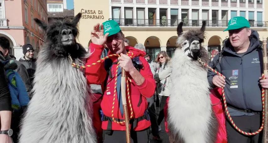 In pellegrinaggio fino a Roma accompagnati da tre lama
