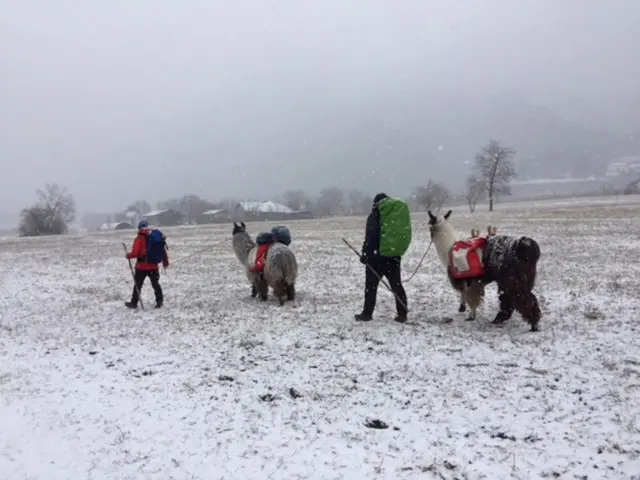 Valsugana: i pellegrini sulla Via Romea Germanica con tre lama
