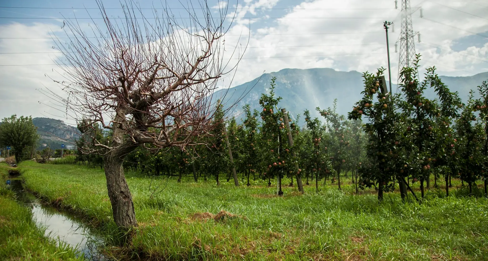 Consorzio Oltresarca, bilancio da tre milioni