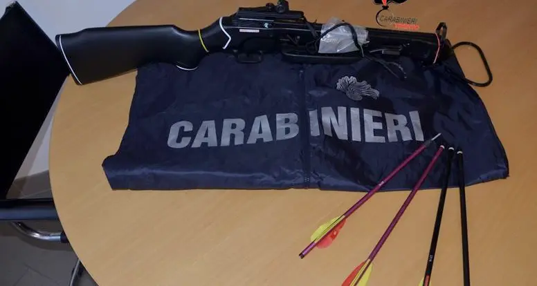 Uccise un cane con la balestra Condannato a 10 mesi