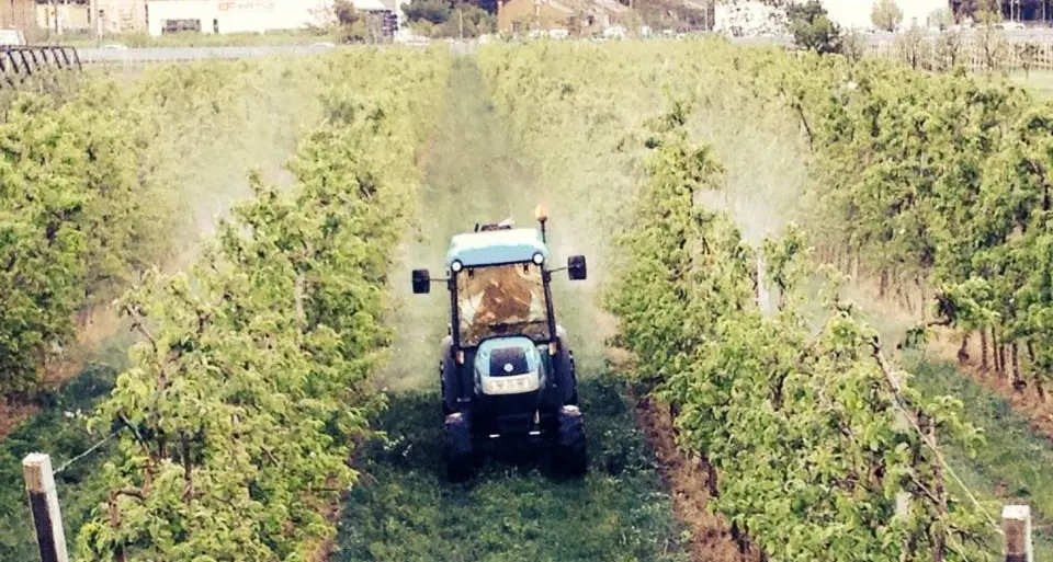 Ripensare l'agricoltura, in modo più sostenibile