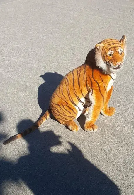 Arriva «Animals»: il nuovo zoo è tutto in peluche