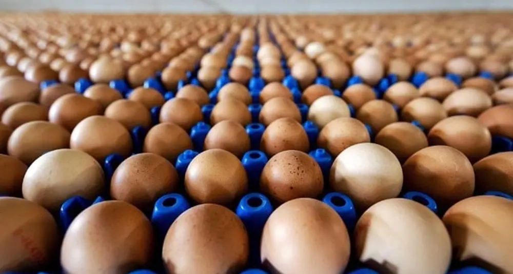 Pasqua, sulle tavole italiane oltre 400 milioni di uova