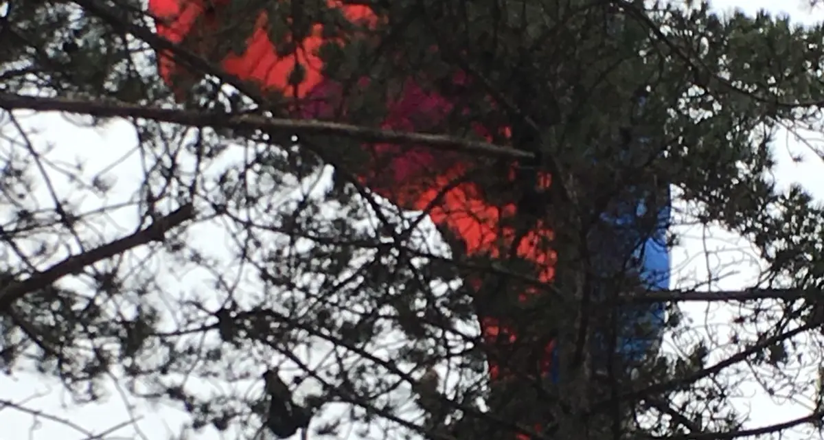 Dro, base jumper atterra sugli alberi