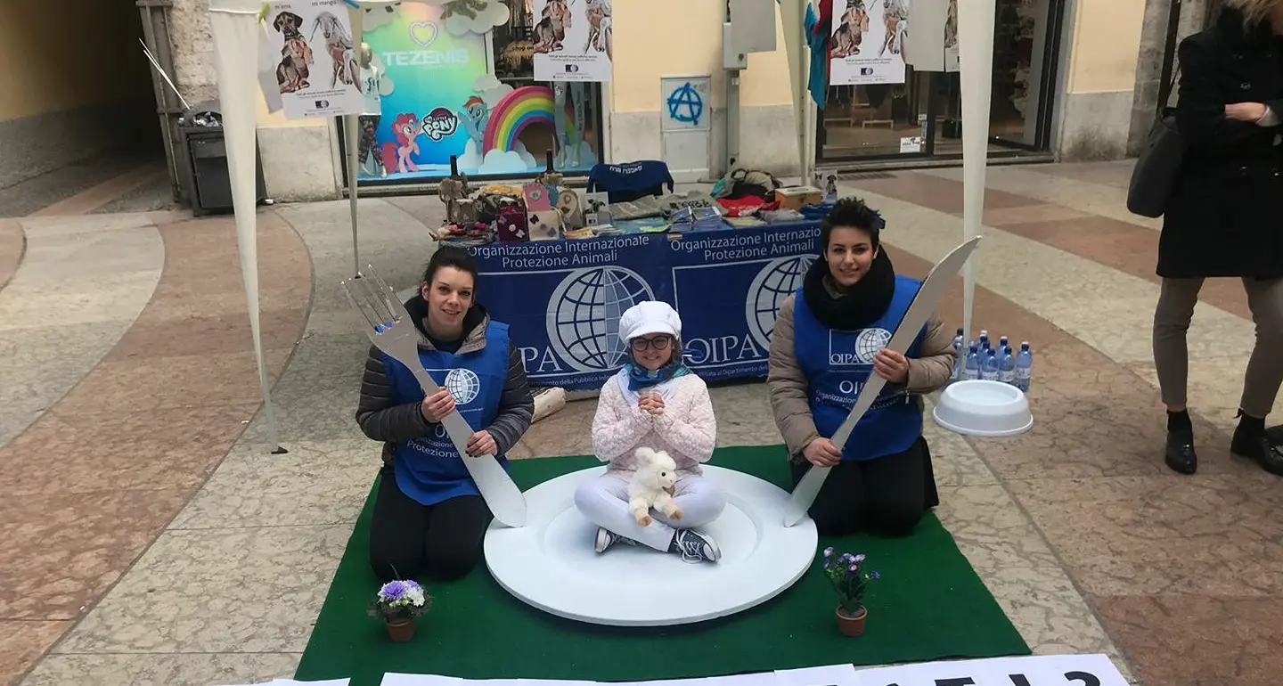 Il bambino finisce nel piatto per «salvare» gli agnelli