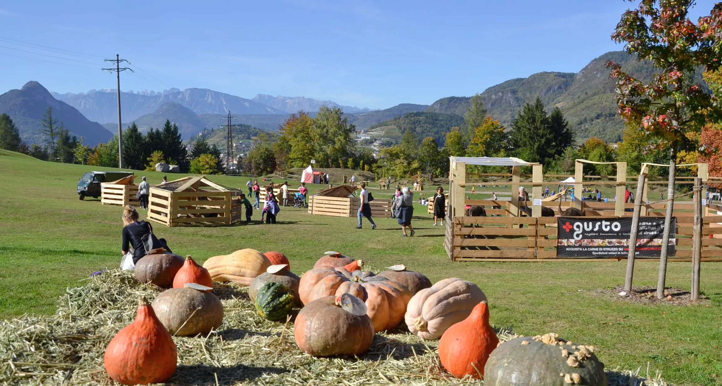 Zucche d'autunno