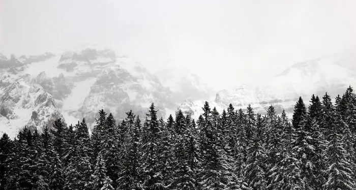 Dopo la neve, il gelo: fino a lunedì temperature polari