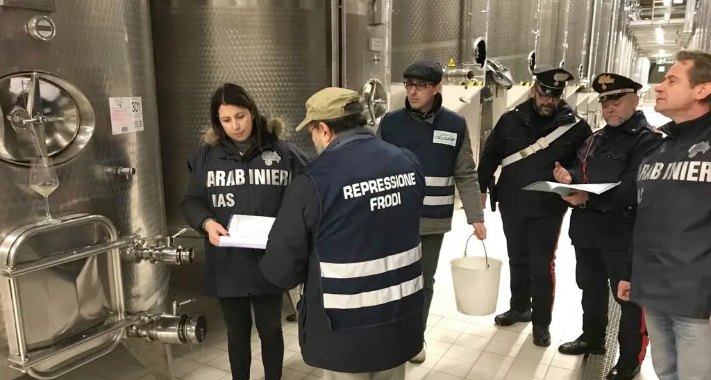 Inchiesta sulla cantina Colli Zugna 7 indagati: frode e falsificazione