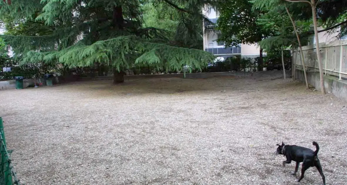 Divieto di cani nei parchi Difesa animali è contraria