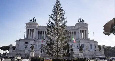 Spelacchio, adesso c'è chi pensa di tagliarlo a pezzi e di venderlo
