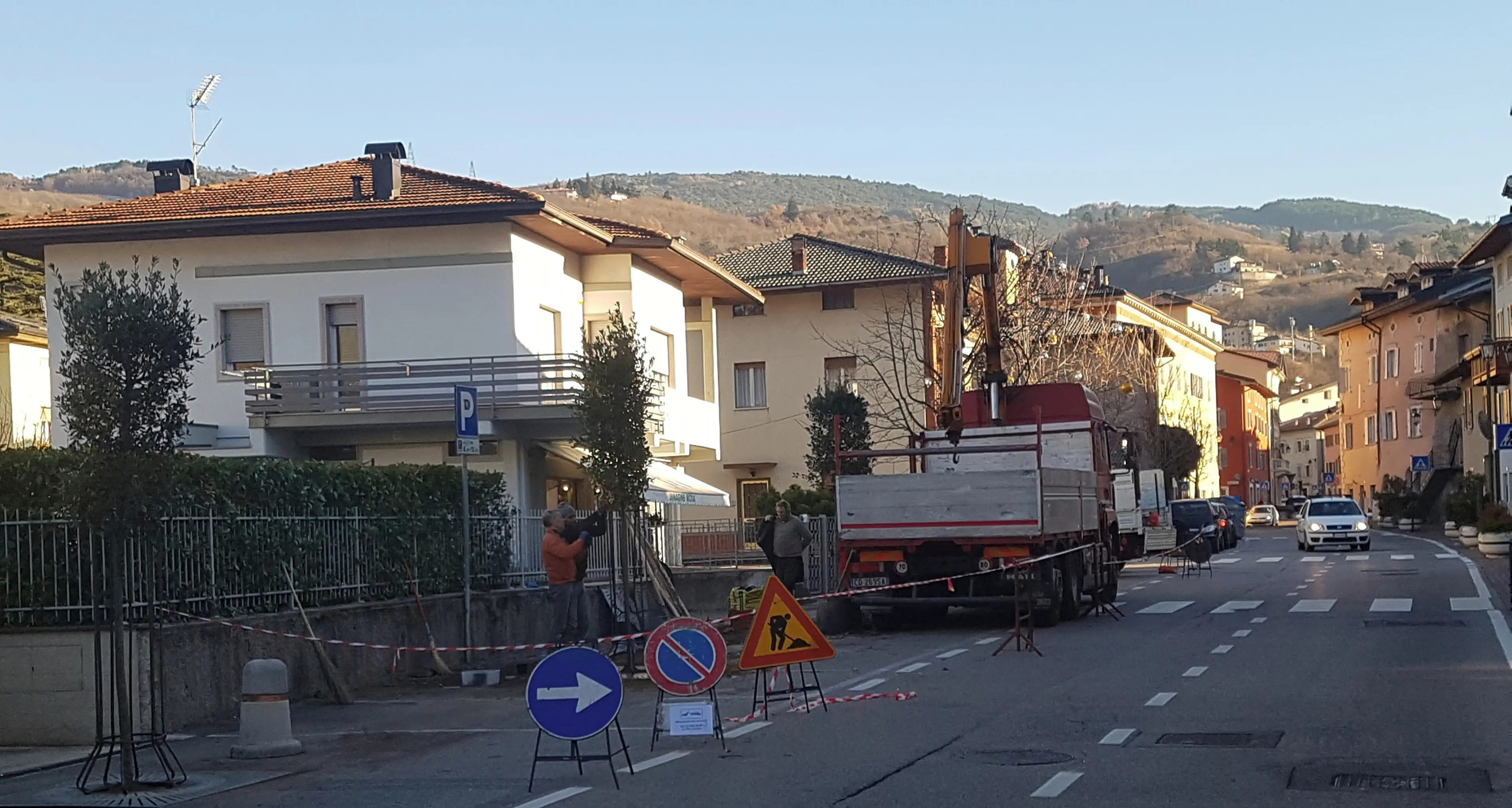 Lavis, in via Rosmini gli aceri sono stati sostituiti dai lecci
