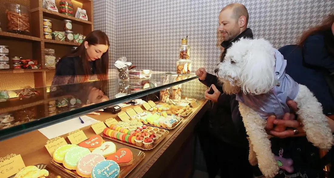 A Brescia aperta una pasticceria per cani