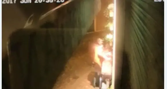 Rubano i vasi di fiori in via Roggia Grande, ma c'è il video