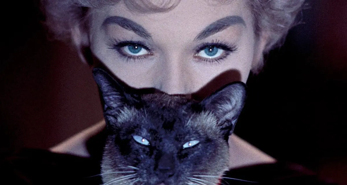 Sono i gatti protagonisti del Torino Film Festival
