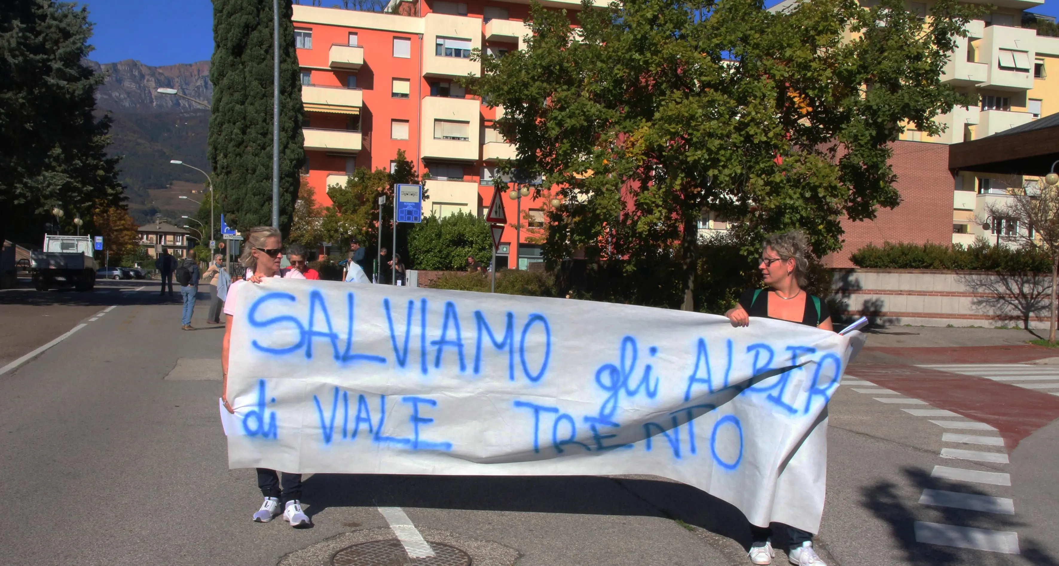Rovereto, alberi tagliati in nome della luce