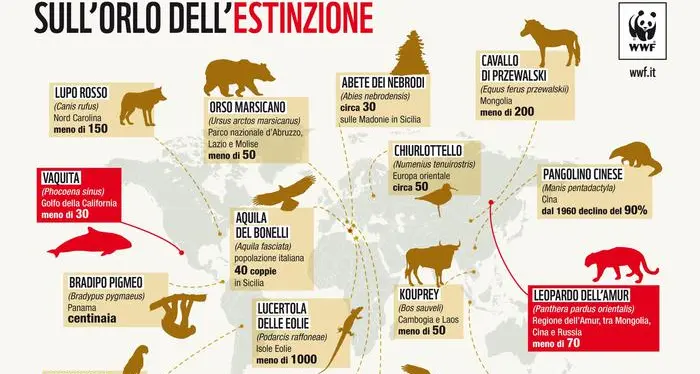 Allarme Wwf: 16 specie a rischio estinzione nel 2018