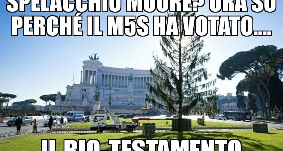 Roma, Spelacchio è morto E il web si scatena