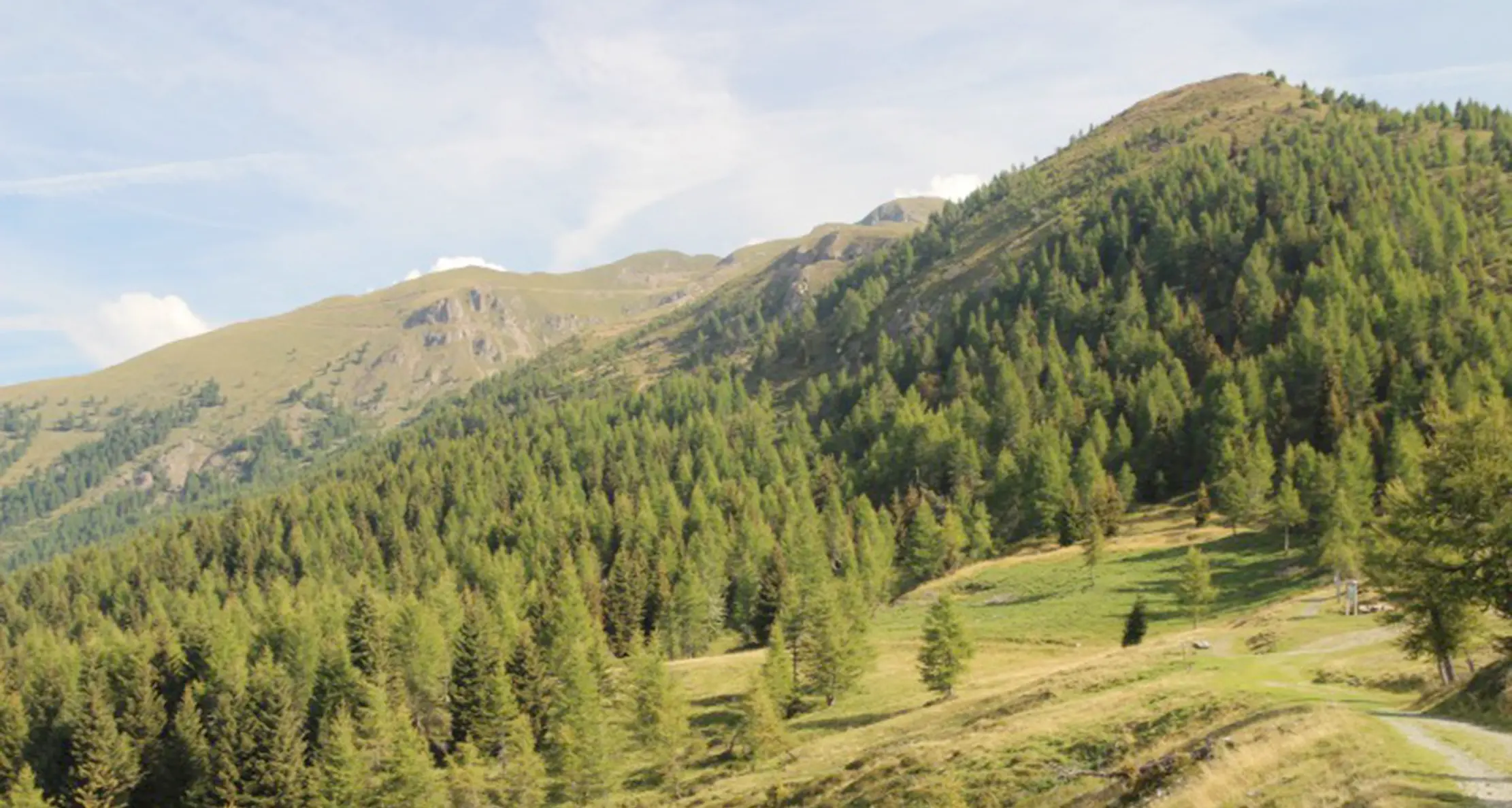 Bacino alla \"Bassa\", si può fare anche senza Novaledo
