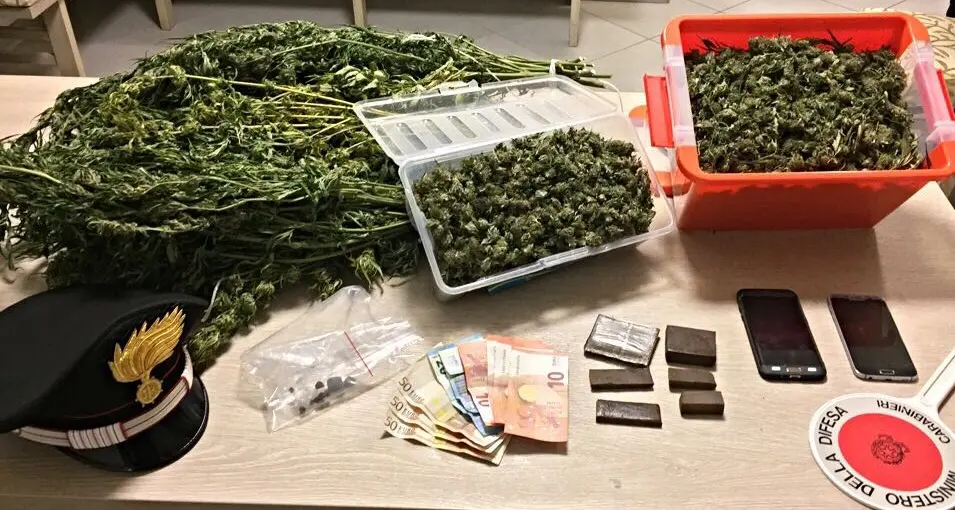 Droga, giovane in arresto per spaccio a Pergine
