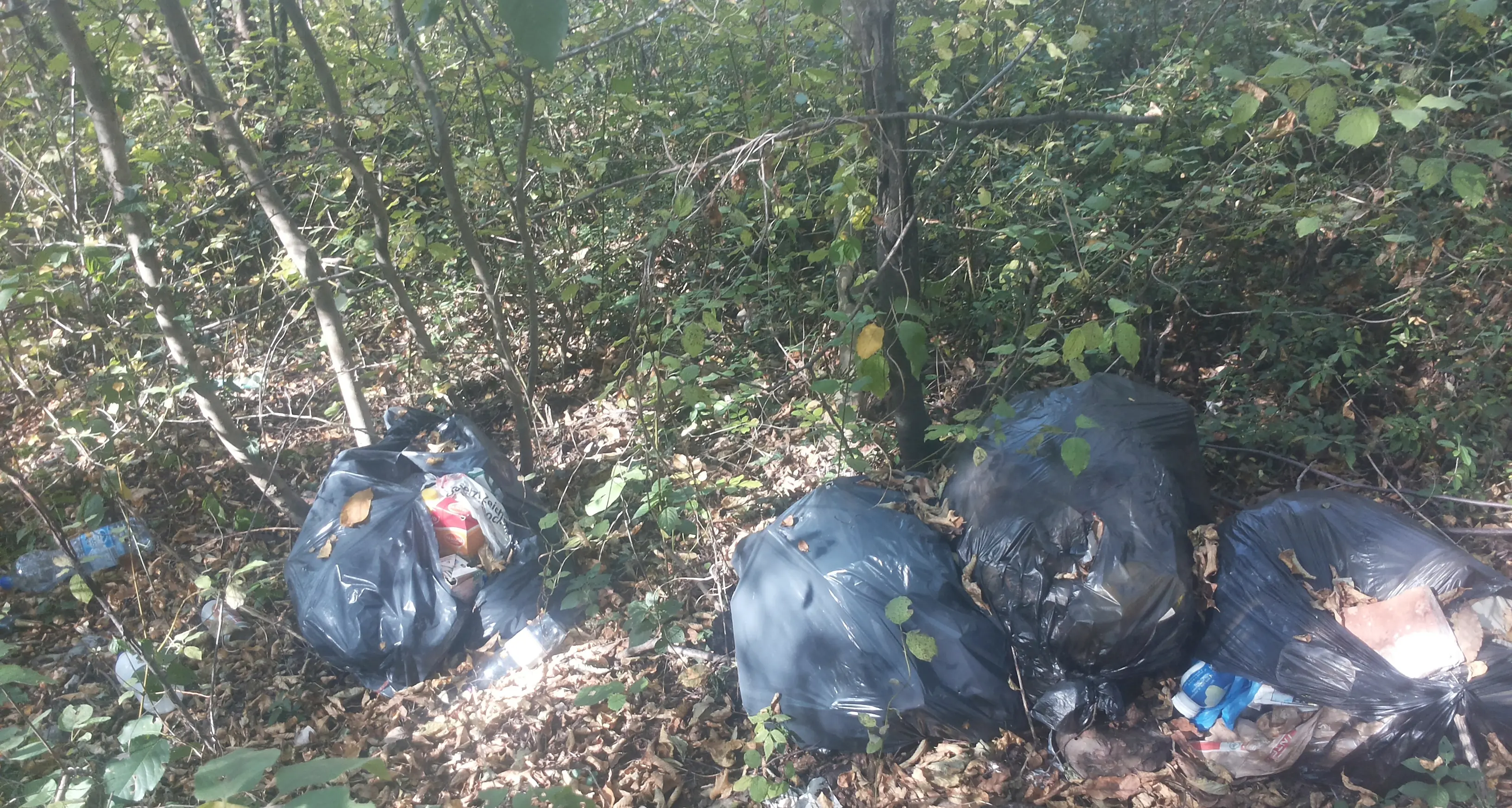 Faedo, sotto Castel Monreale Trovata una discarica «privata»