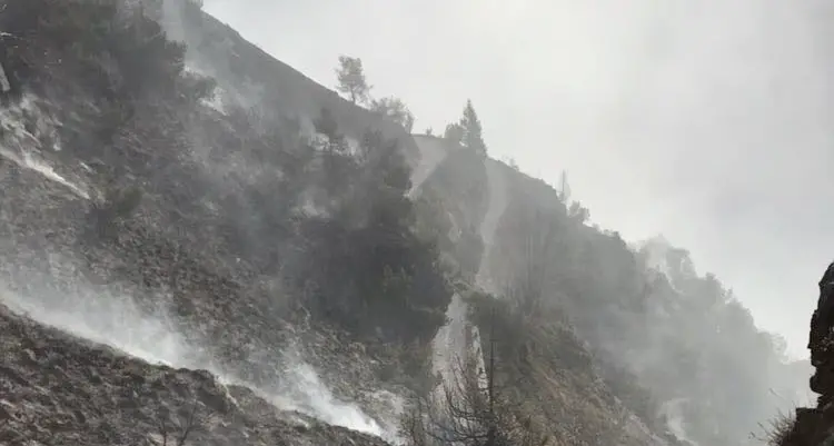 Distrutti 400 ettari di terreno Le fiamme sono dolose Paura al confine col Trentino
