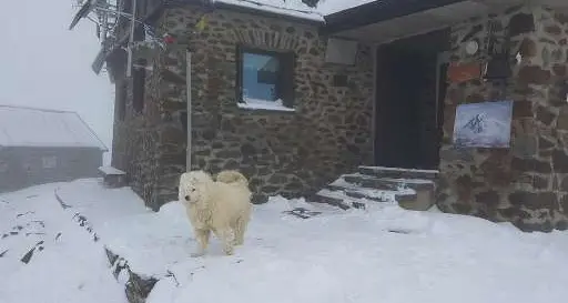 Assaggio d'inverno e vette imbiancate Freddo e neve sopra i 2.000 metri