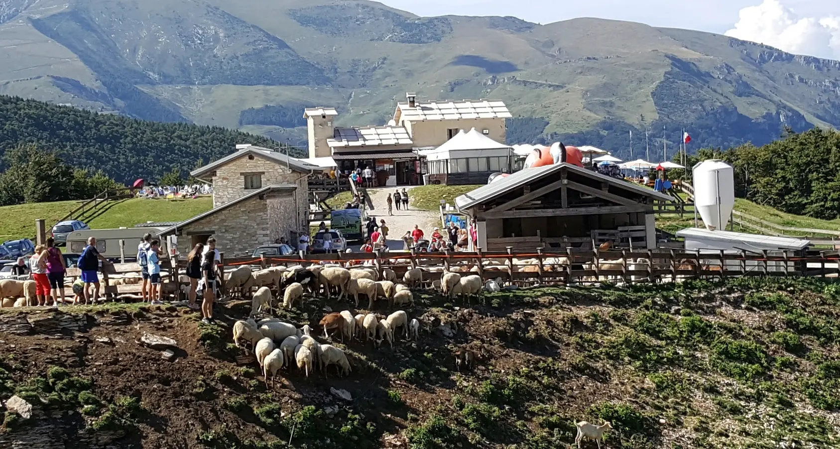 Arrestato il pastore che uccise il collega Il fatto è accaduto nei giorni scorsi a Brentonico