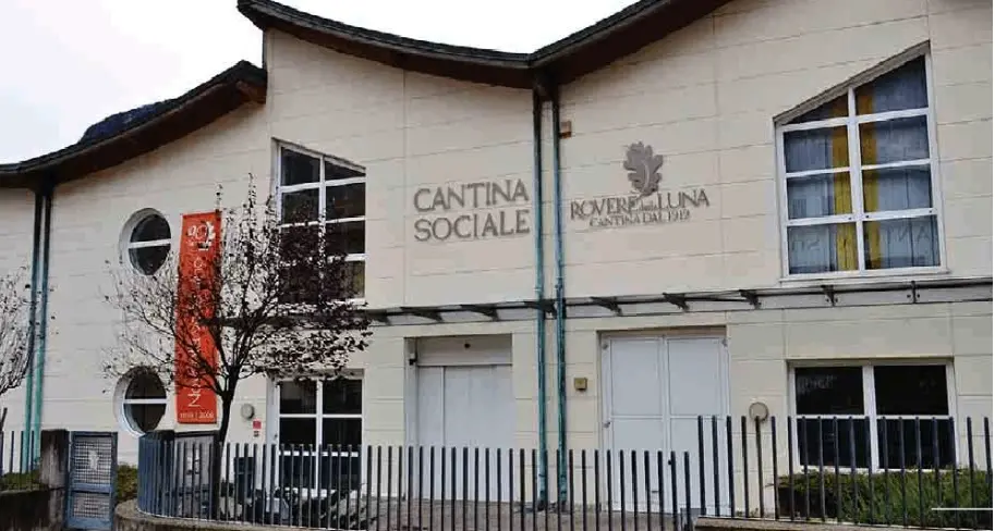 I Nas alla Cantina di Roveré della Luna Indagine sulle bolle di conferimento