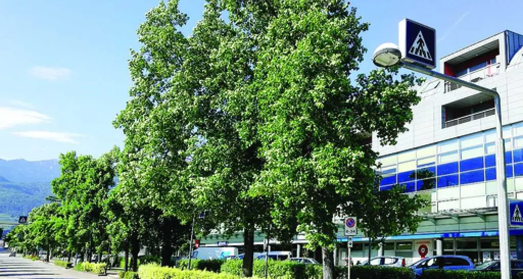 Forestali e Comune a caccia di nidi