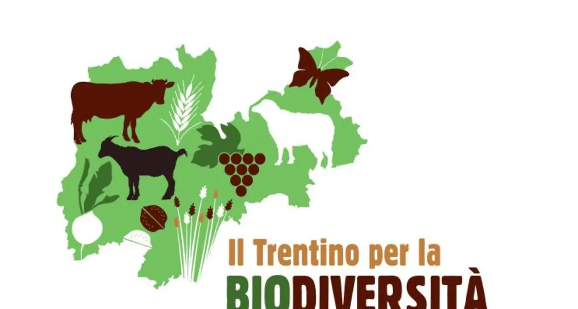 «Il Trentino per la biodiversità» Week-end intenso a San Michele