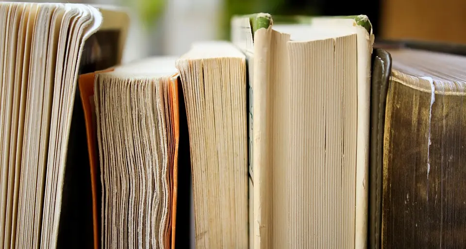 Biblioteca, libri in vendita Volumi da 1 a 4 euro
